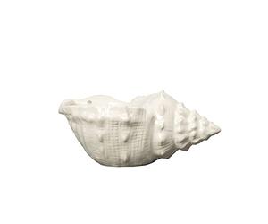 BY ON Ciotola per conchiglie Awa, bianca, in dolomite solida, rotonda, per la conservazione di gioielli o come decorazione in soggiorno o bagno, ciotola decorativa, ciotola decorativa