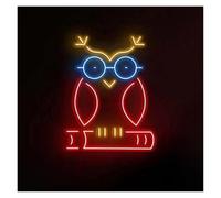 BYAMBD cartelli al neon personalizzati Insegna Al Neon Con Gufo Alimentata Tramite USB, Luci Al Neon Con Luminosità Regolabile Adatte Per La Decorazione Parete Negozio(36cmx38cm)
