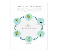 BYCIFRLG Plant Life Cycle Science Educational Poster Botany Learning Chart for Classroom Homeschool Room Decor(Framed,12x18inch(30x45cm))