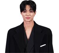 Byeon Woo Seok (Black Outfit) Half Body Buddy Cutout