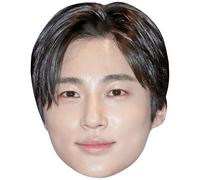 Byeon Woo Seok (Dark Hair) Big Head