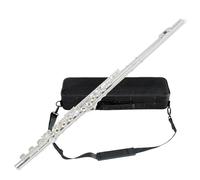 ByErz 17 fori C chiave E flauto placcato argento foro aperto foro chiuso flauto a doppio uso adatto a mancini che imparano a suonare la scatola regalo e gli strumenti di manutenzione