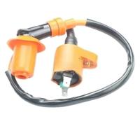 BYINGS Bobina di accensione a 2 pin compatibile con scooter a 4 tempi BT125T125 BT49QT50 Delta50 RT150 SC150 YY150 GY650 GY6125 GY6150(Standard)