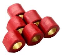 BYINGS Set di rulli da corsa 6 pezzi 20x17 mm 9 g 11 13 15 compatibili con scooter SG125 F1 S2 S3 NS125(9g)