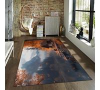 BYLEEHOMED Rustico Cabina Tappeti Antiscivolo 120x180cm Autunno Foresta Lago Natura Paesaggio Agriturismo Morbido Tappeto a pelo corto per cucina Comodino Ingresso