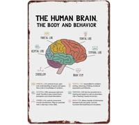 BYLSAGWHT Aluminum Metal Wall-Art Human Brain Structure Knowledge Vintage Retro Educational Sign for Science Education Classroom Office Home 8 X 12 in