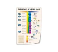 BYLSAGWHT Educational Earth History, The Story of Evolution Vintage Art Print, Science Themed Wall Decor for Study Room, Classroom, Gift Idea(Unframed,12x18inch(30x45cm))