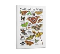 BYLSAGWHT Moth Life Cycle & Symbolism Art Print - Educational Insect Knowledge Poster for Nature Lovers, Biology Study, and Mystical Home Decor(Framed,08x12inch(20x30cm))