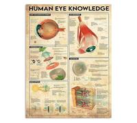 BYLSAGWHT Optometry Office Decor Vintage Human Eye Chart Metal Sign Retro Rustic Wall Plaque Clinic 8 X 12 in