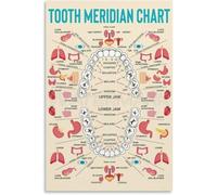 BYLSAGWHT Oral Health Meridian Chart - Tooth Acupuncture Reference & Guide Poster(Unframed,08x12inch(20x30cm))