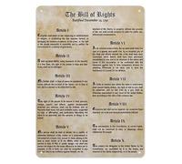 BYLSAGWHT Patriotic History Metal Sign Founding Documents Educational Wall-Art for Classroom Study Office Home Library Decor 8 X 12 inch