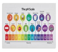 BYLSAGWHT Science Learning Metal Tin Sign The pH Scale Educational Chart Poster for Classroom or Study Room Wall Decor 8 X 12 inch