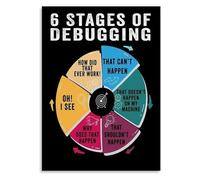 BYLSAGWHT Software Engineer Art Print - The Six Stages of Debugging Chart, Minimalist Tech Wall Decor for Coding Classroom or Home Office(Framed,16x24inch(40x60cm))