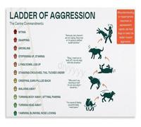 BYLSAGWHT Understanding Canine Aggression Ladder Poster Canvas Wall-Art Educational Decor for Living Room Study Room(Unframed,16x24inch(40x60cm))