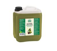 Byodo Olio d'oliva biologico vergine extra, 5 l