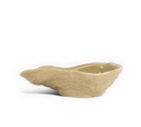 ByON Piatto da portata a forma di ostera Plate Oyster Beige in dolomite, dimensioni: 13 cm, 5228621303