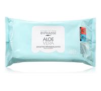 BYPHASSE Aloe Vera salviette struccanti per fondotinta 40 ml