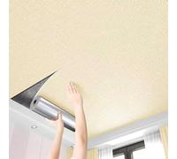 ByteRunning Piastrelle del Soffitto,Piastrelle per Soffitto Incollate,Pannelli da Soffitto in Polistirolo Espanso,Facile da Applicare,per Cucina,Bagno,Camera da Letto,Soggiorno