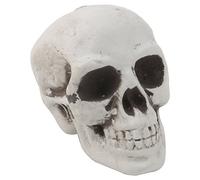 BYUTFA Modello di Teschio in plastica Mini Teschio Umano Decor Scheletro per Testa Halloween Coffee Bar Orna