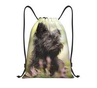 BYwenhopnbs Affenpinscher Lawn Black Dogs Monkey Terrier Borsa con coulisse Borsa a tracolla leggera Zaino da palestra per uomo e donna