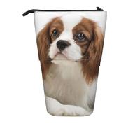 BYwenhopnbs Astuccio portapenne telescopico Cavalier King Charles Spaniel Brown Spaniel