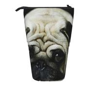 BYwenhopnbs Astuccio portapenne telescopico per carlino, astuccio portapenne con supporto per carlino, cani tristi, cani tristi, animali domestici