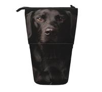 BYwenhopnbs Astuccio portapenne telescopico per Labrador nero adottato e curioso