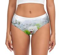 BYwenhopnbs Bichon Frise Park - Slip da donna per cani Bichon Frise, intimo morbido e confortevole da donna, Multicolore, XS