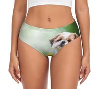 BYwenhopnbs Shih Tzu, Piccoli Cani Carini, Cuccioli Ricci, Animali Domestici, Slip di Supporto da Donna, Comodi e Morbidi, Biancheria Intima per Donna