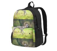 BYwenhopnbs Zaino da viaggio per la scuola, per uomini e donne, con scomparto per laptop da 15 pollici, motivo: cani Whippet, cani da prato, cani grigi, animali domestici