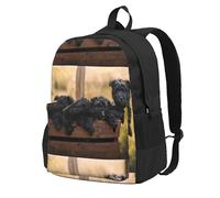 BYwenhopnbs Zaino da viaggio per la scuola, per uomo e donna, con cuccioli di cani neri e scimmie della famiglia Affenpinscher, con scomparto per laptop da 15 pollici