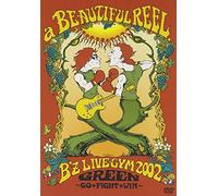 B'Z - Live Gym 2002 Green Go Fight W Ith (2 Dvd) [Edizione: Giappone]