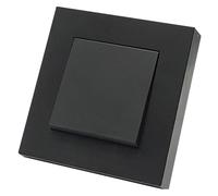 BZH01 Interruttore for lampada da parete nera 1 pulsante a bilanciere for accensione e spegnimento(2 Socket With Ground)