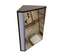 BZJPRFC Armadietto Da Parete Triangolare Con Luce, Mobiletto Angolare Con Specchio For Bagno, Portaoggetti A Parete Con Anta Singola E 2 Ripiani, Con Spina Di Corrente(Color1)