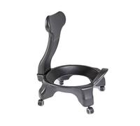 BZJPRFC Sedia A Sfera for Esercizi con Seduta Ergonomica