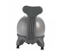 BZJPRFC Sedia Balance Ball con Ruote E Supporto for La Schiena