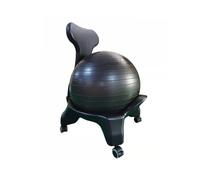BZJPRFC Sedia da Yoga con Palla di Stabilità da 55 Cm