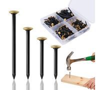 Bztzhm Set di 140 chiodi in acciaio inox con testa dorata, 20/25/30/40 mm, con scatola a 4 scomparti per cemento, mattoni, legno e appendiquadri