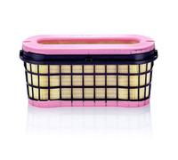 C 49 002 MANN-FILTER Filtro aria per MERCEDES-BENZ,SISU