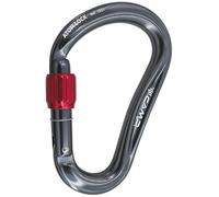 Camp Atom Lock Gun Metal 21 - Moschettone arrampicata - Grigio/rosso [Taglia : Unique]