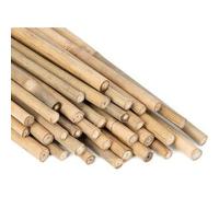 C CANNA BAMBOO NATURALE 210 CM-D.20/22 MM 25 PZ