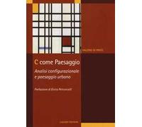 C come paesaggio. Analisi configurazionale e paesaggio urbano