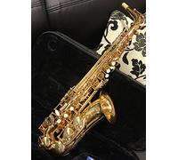 C.G. CONN AS501 - Sassofono Eb-Alt con custodia