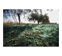 C RETE P/OLIVE ANTISPINA 32G 6 X 6M CALABRIA