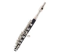 C Strumento Piccolo, Strumento di Orchestra del flauto in metallo facile da usare con kit di pulizia che trasporta l'asta di messa a punto della custodia per la banda degli