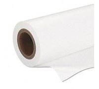 C13S042075 Epson Premium SemiGloss Photo Paper(170), in rotoli da 41, 91 cm x 30