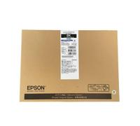 Epson Cartuccia d'inchiostro nero Originale C13T01D100