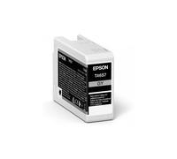 Epson UltraChrome Pro cartuccia d'inchiostro 1 pz Originale Grigio
