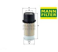 C141791 Filtro aria (MANN)