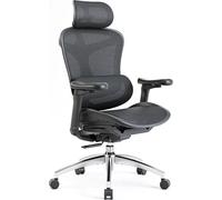 Sedia da ufficio ergonomica SIHOO Doro C300 con braccioli 3D, supporto lombare auto-regolante e schienale in rete traspirante - Nouvo